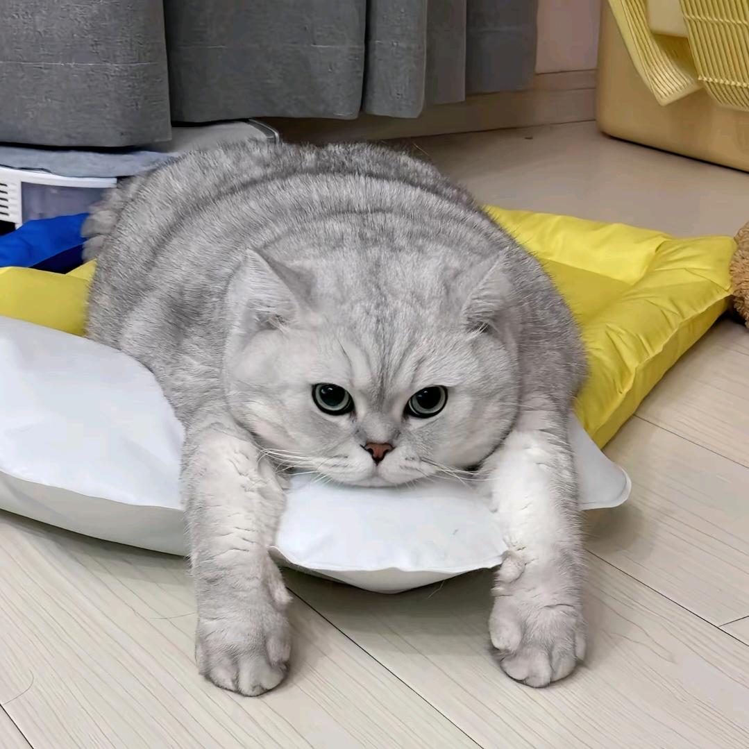 LMY.