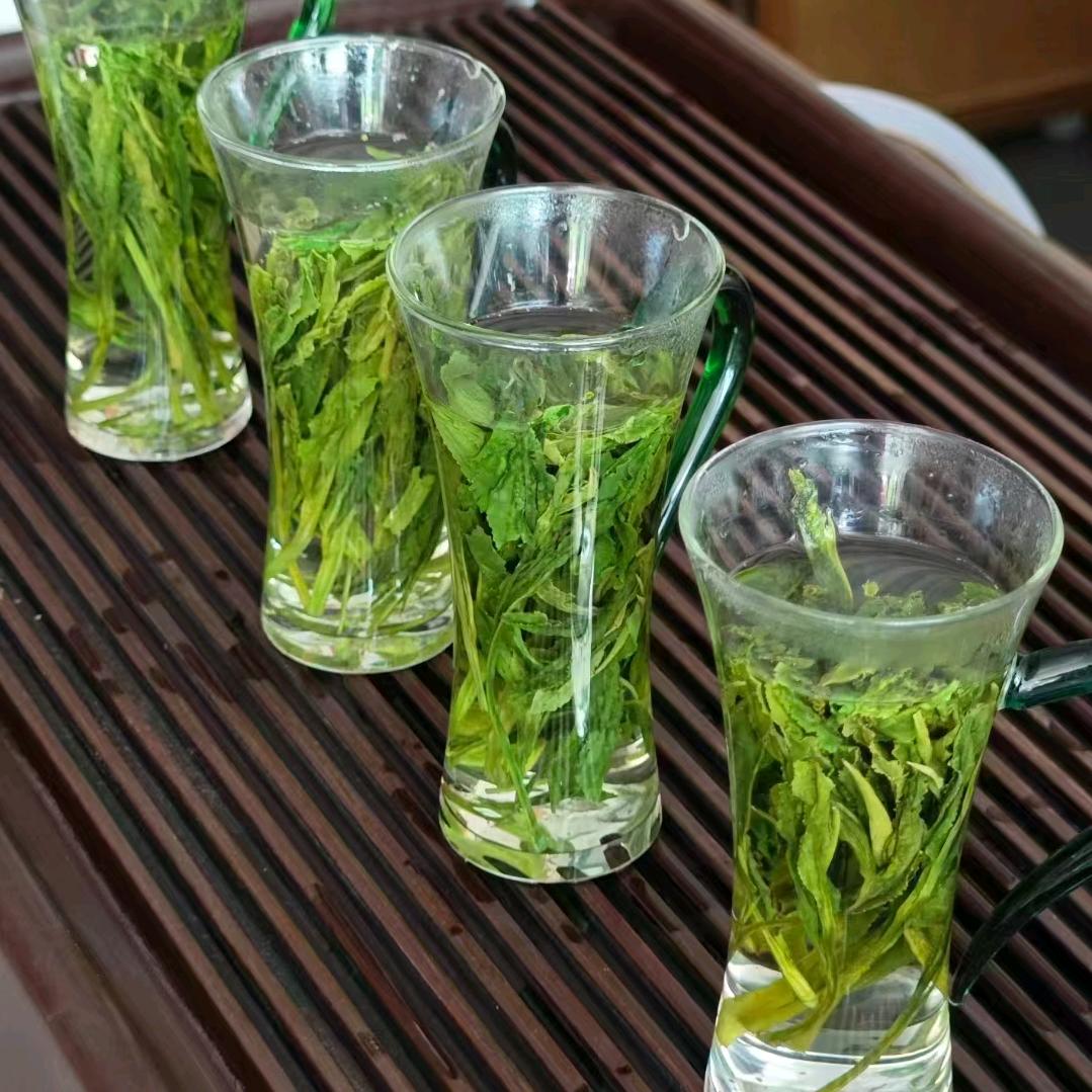 黄山旅游+茶农Go go go