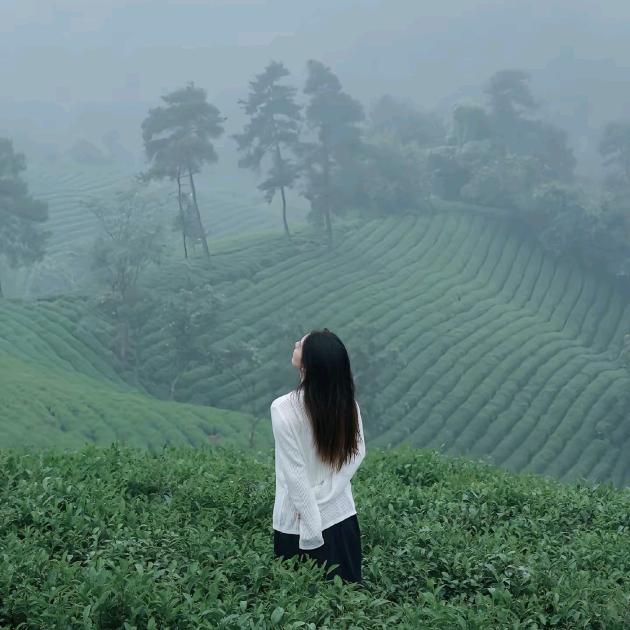 茶妃～思雯