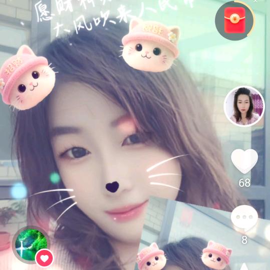 知心玫瑰