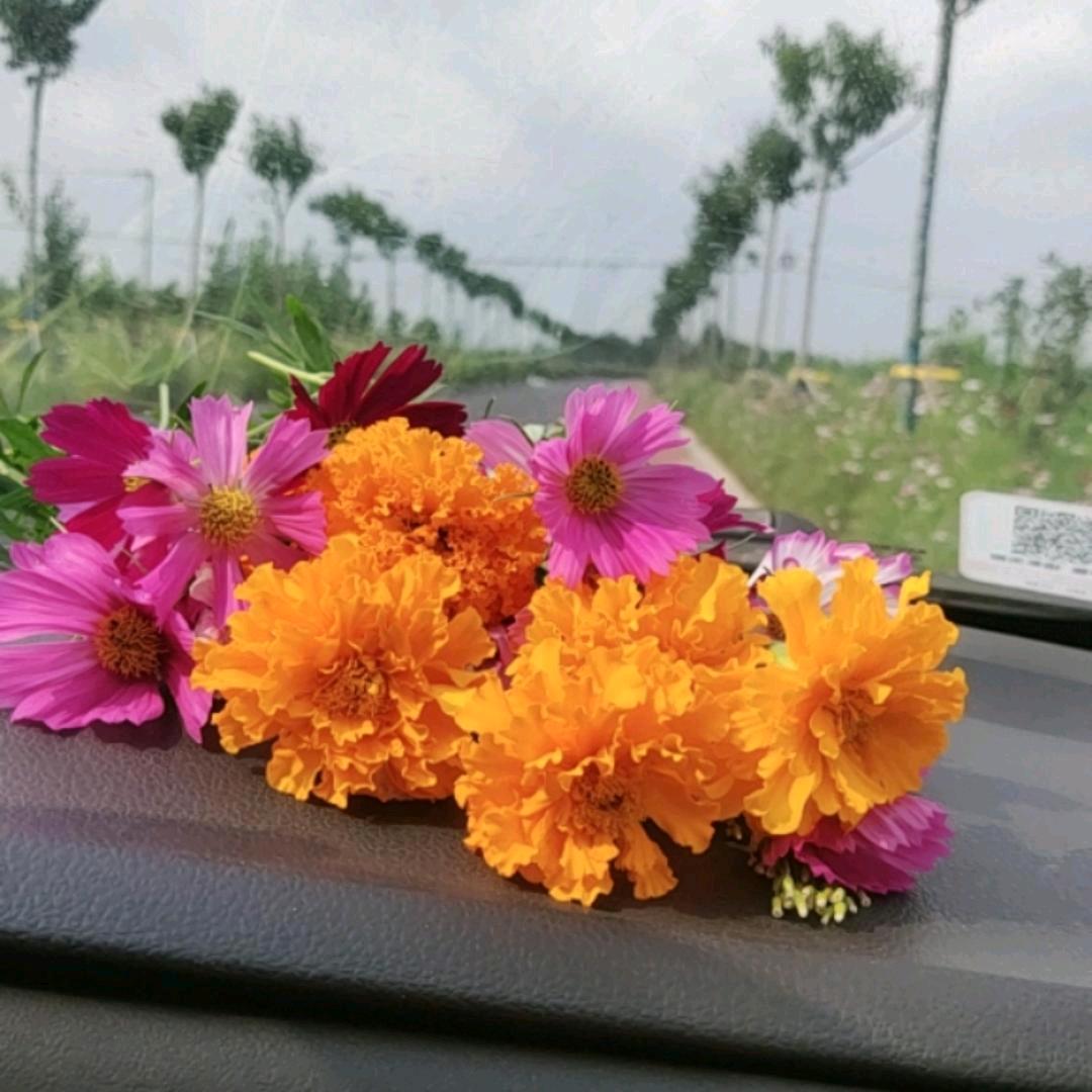 岁月静好♥
