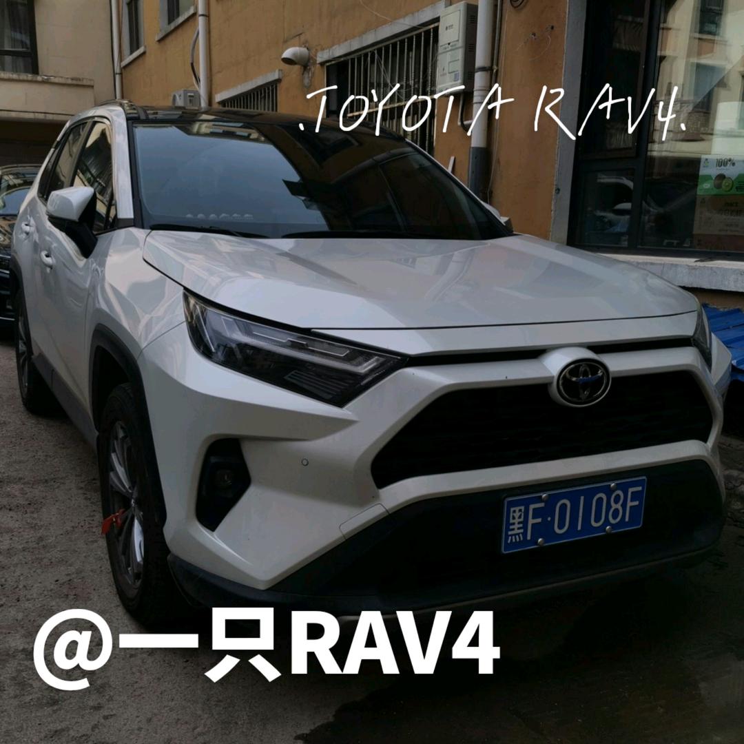 一只RAV4📸