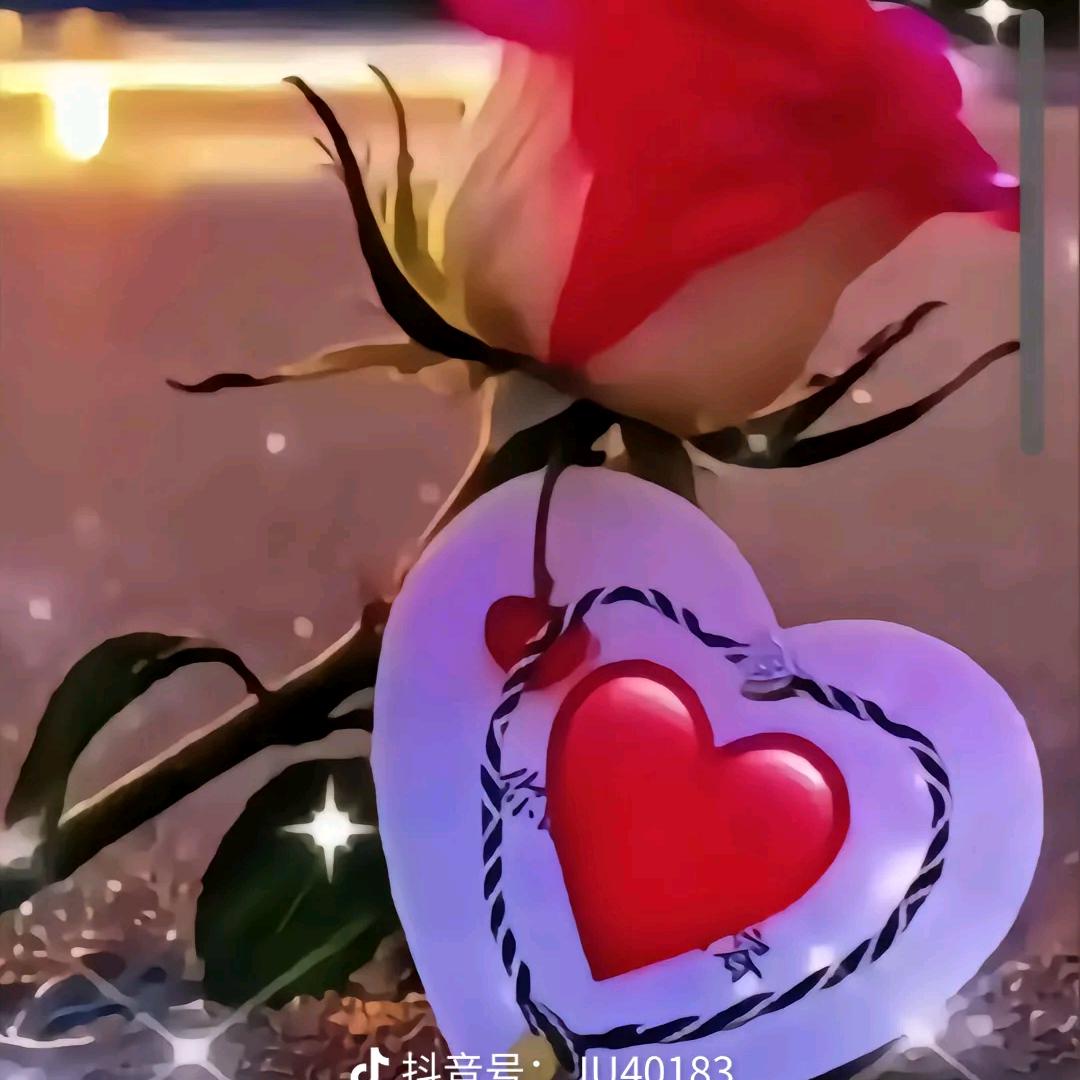 ❤️❤️❤️🌸🌸🌸🌸