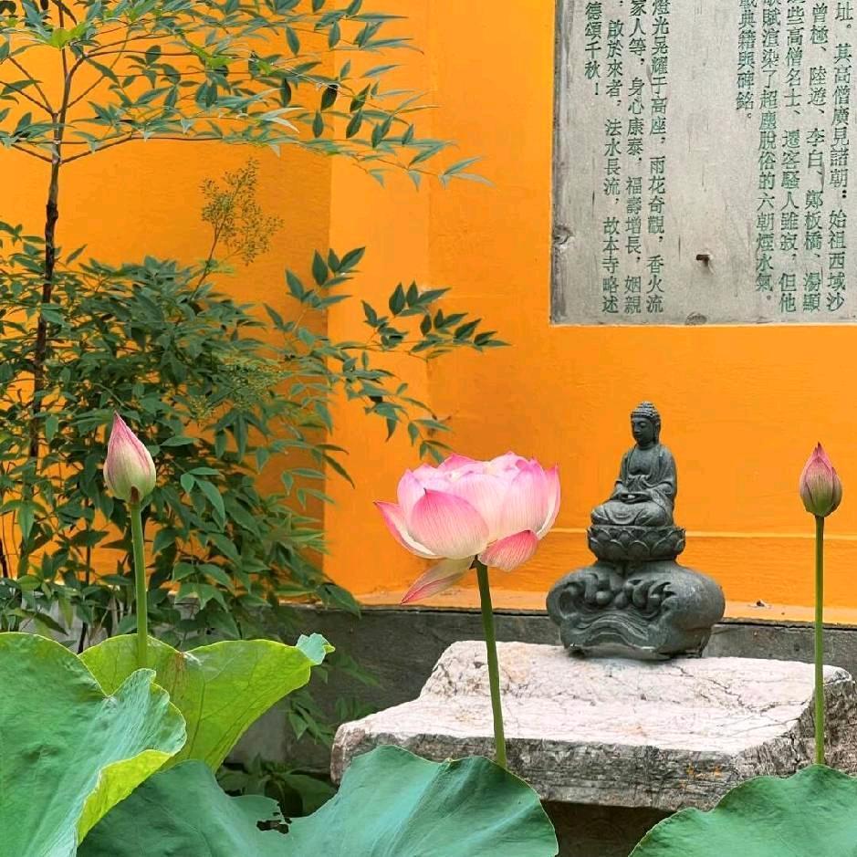 做自己的光👑