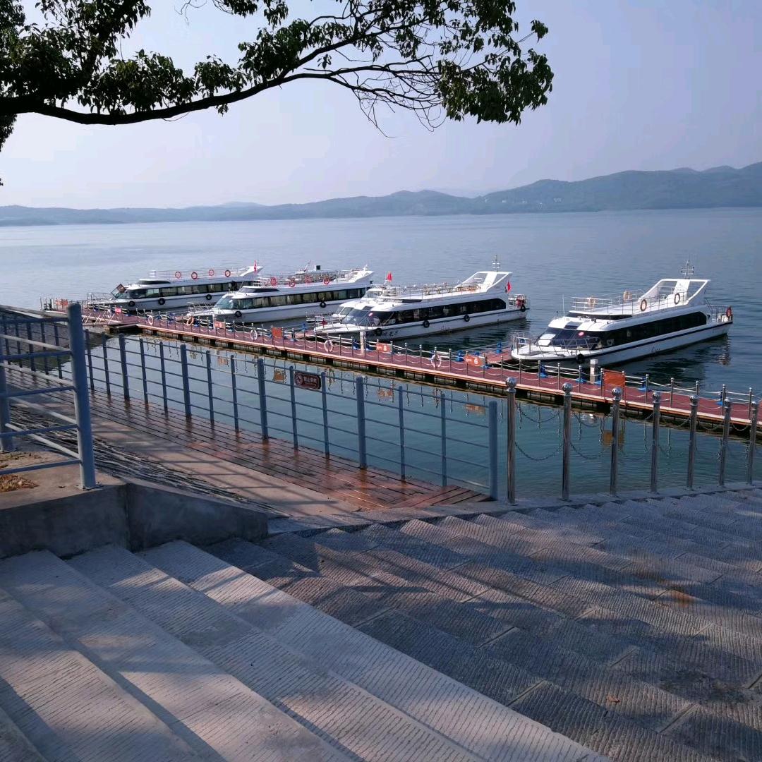 浪迹天涯
