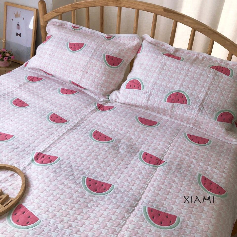 小qing的日常plog