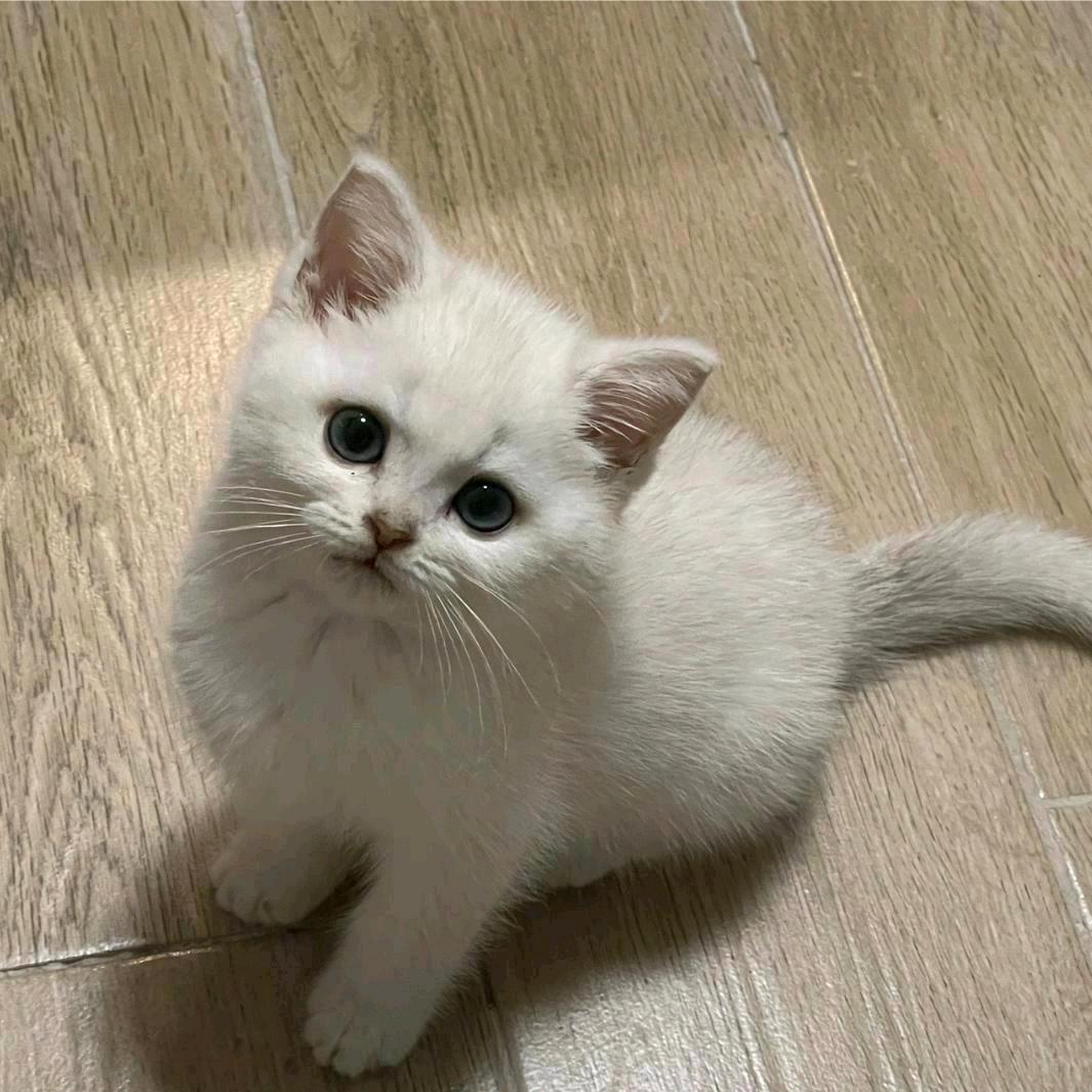 拾忆长安