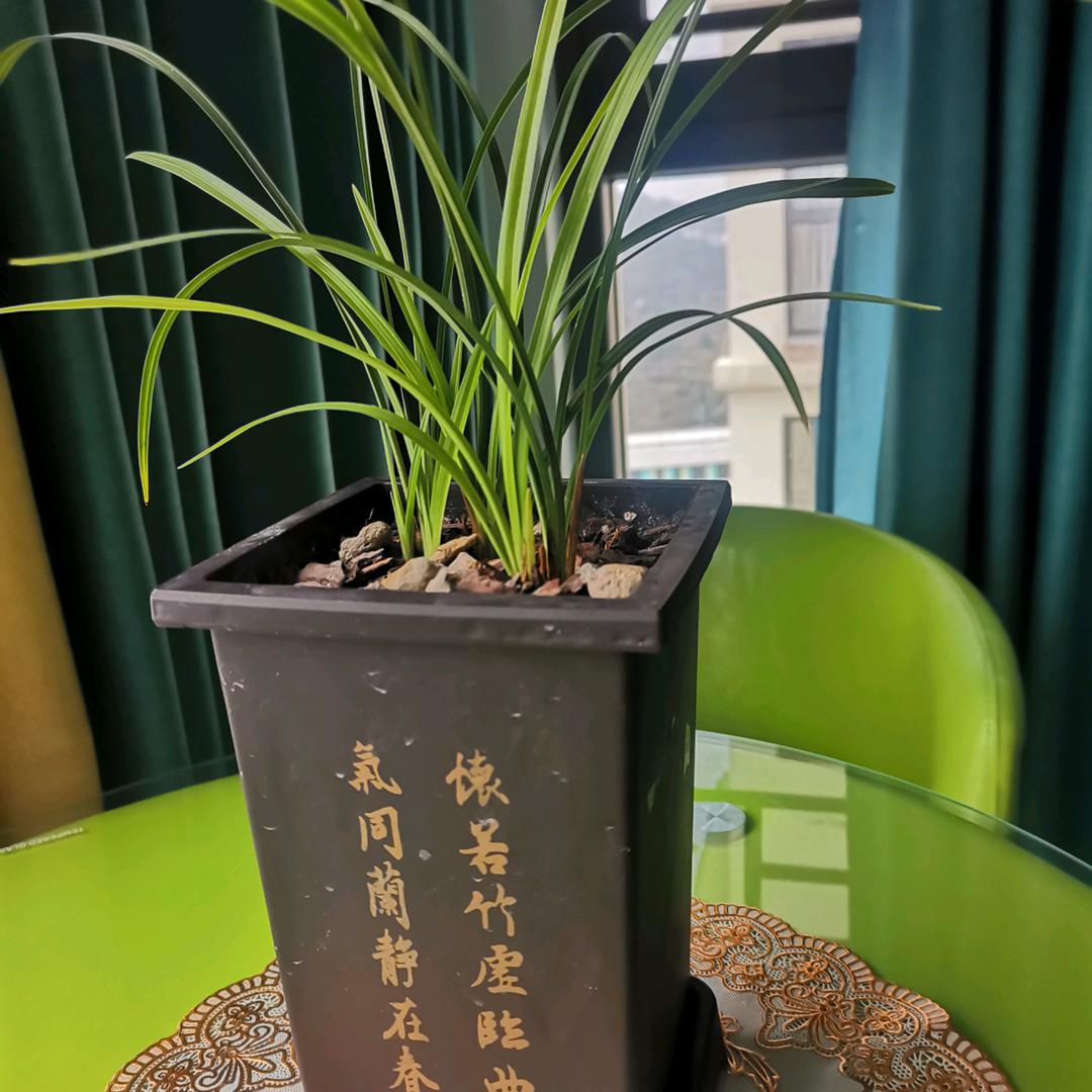 袁中玉