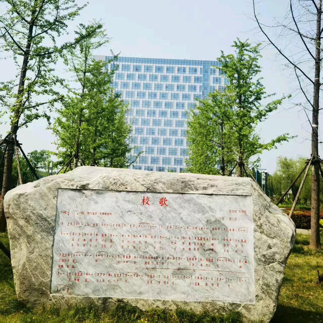 升学陈老师（国际本科）