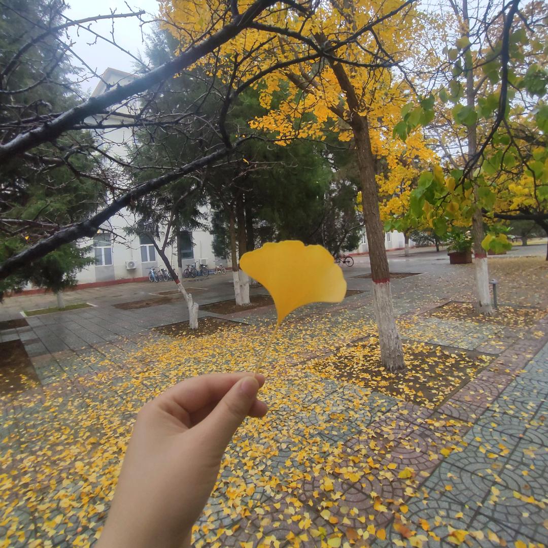 我的名字