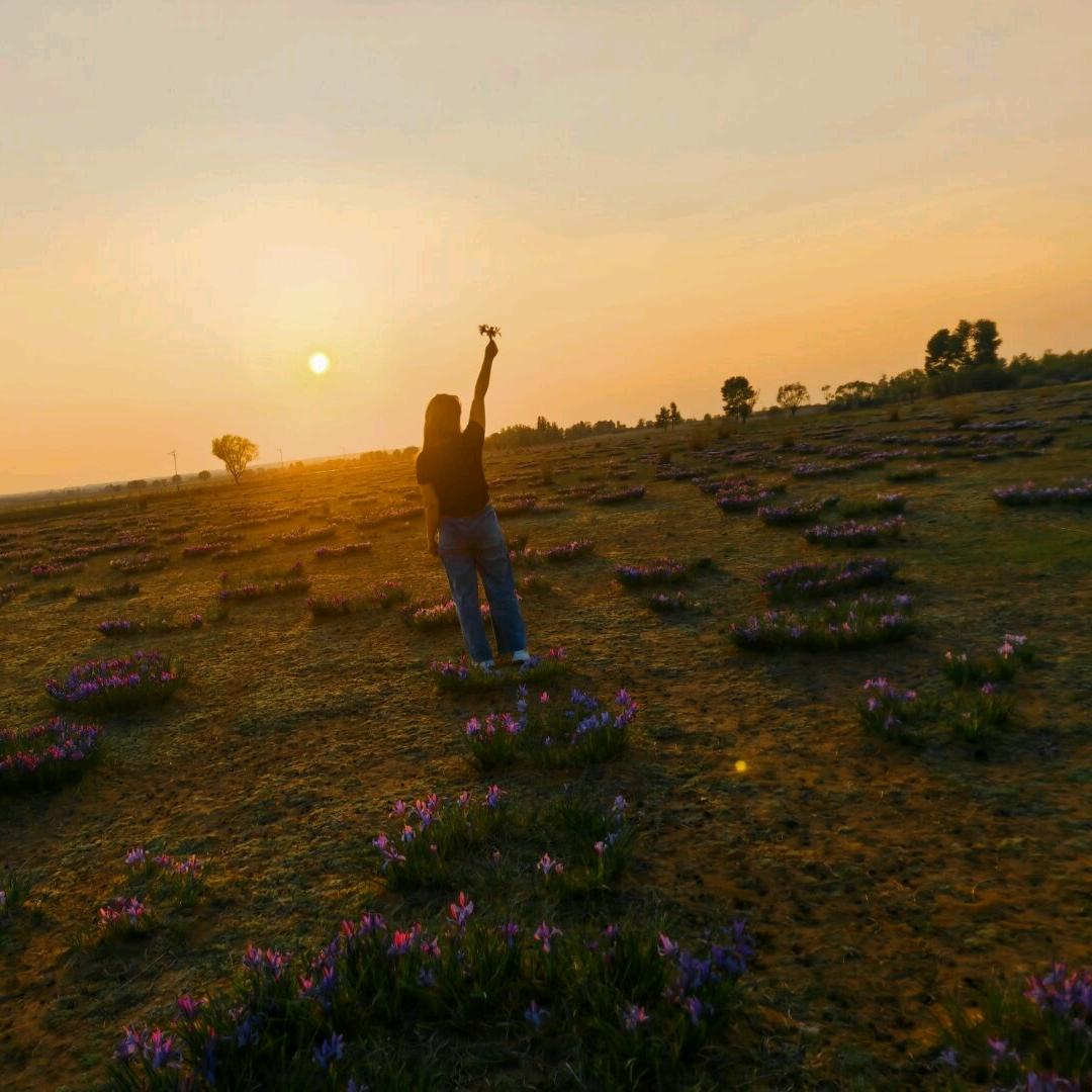 封心$锁爱（拒绝私聊）