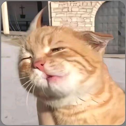 南晓阳