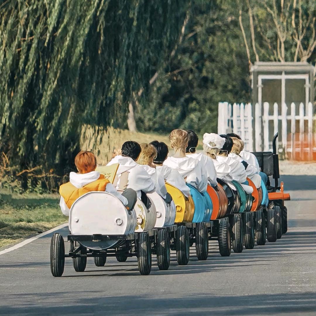 热烈浪漫自由🌾