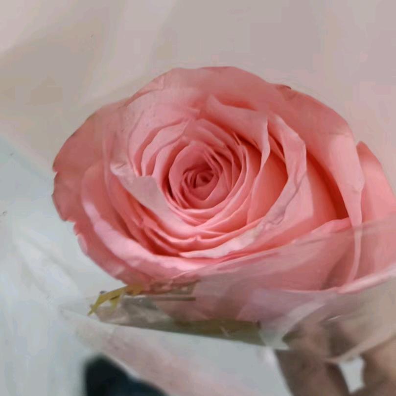 风雨来风雨去。