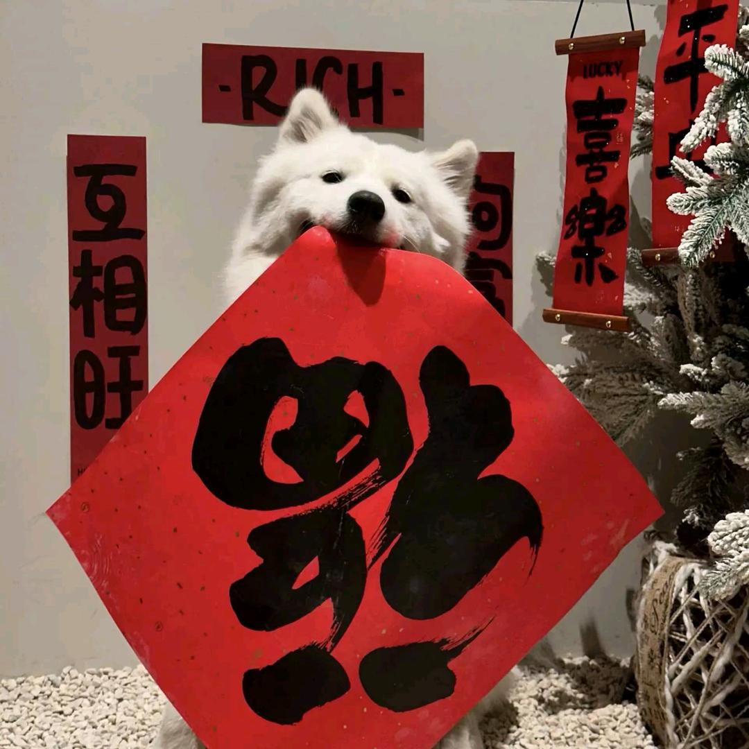 贰