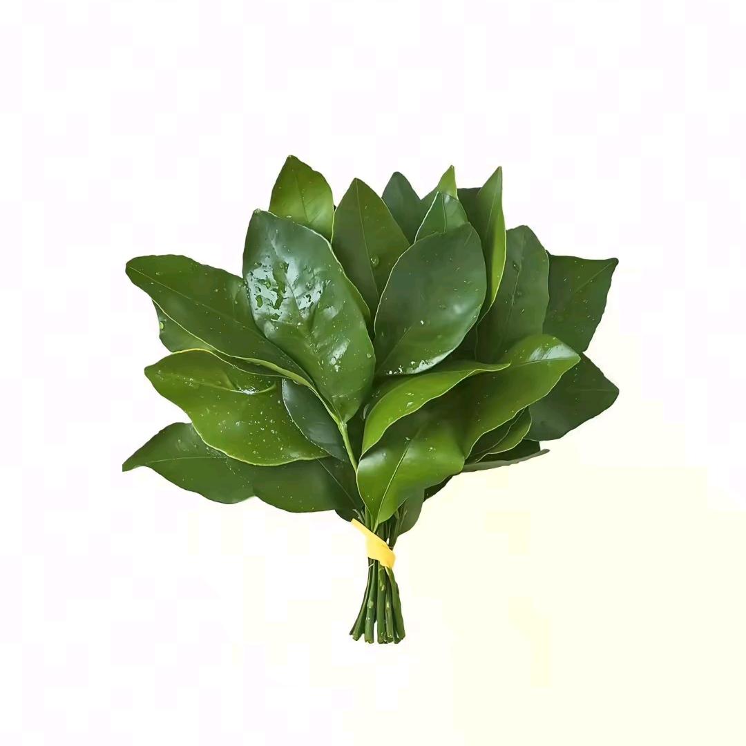 来财来财钱从四面八方来