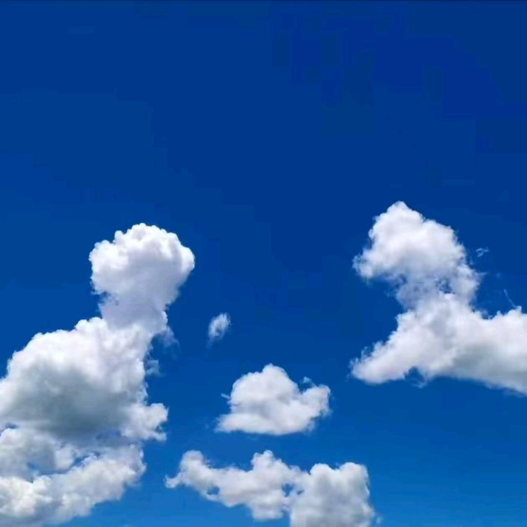 ࿐ སྨྱུག་ལོ🍃