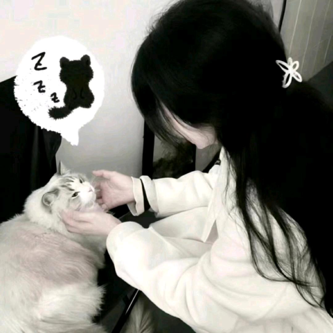 梨花诗𓈒𓏸