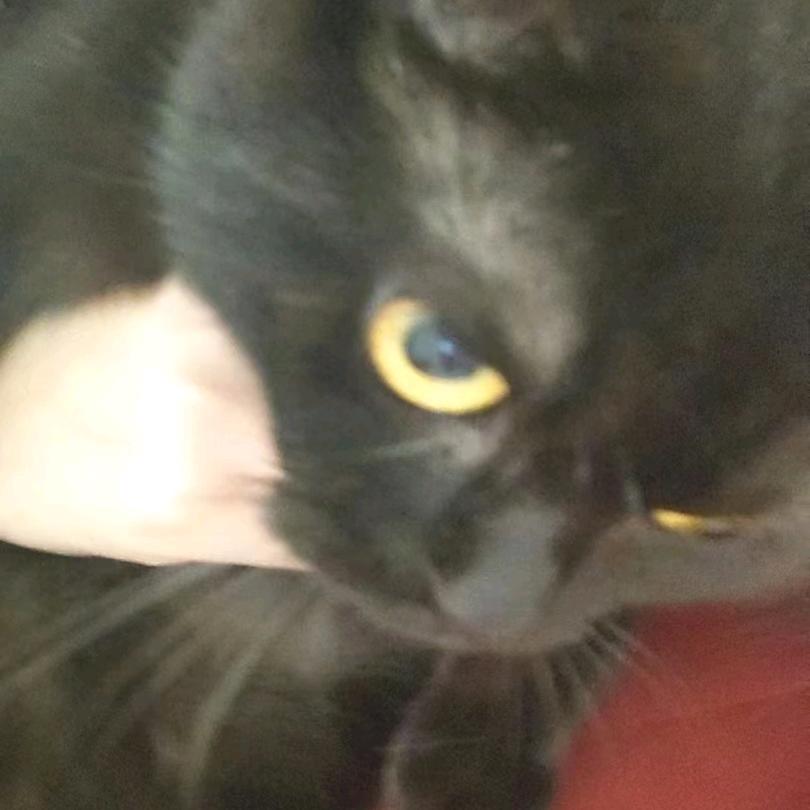 尊世情怀内么587直播号