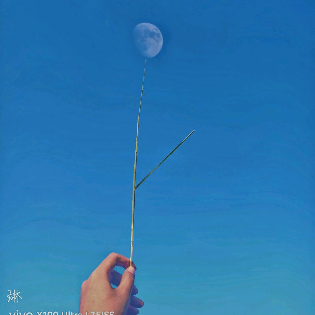 皖辞.♡