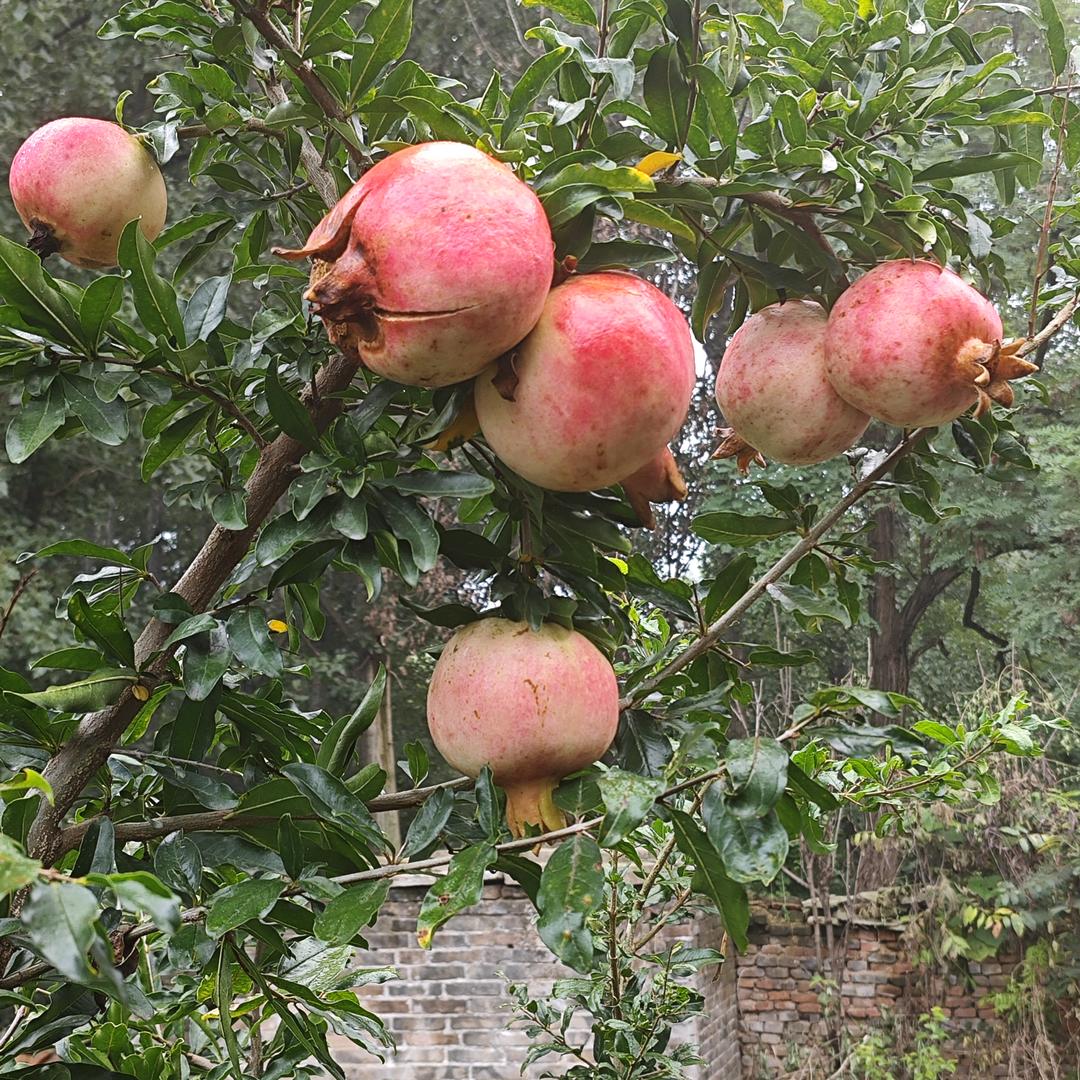 老徐的生活日记