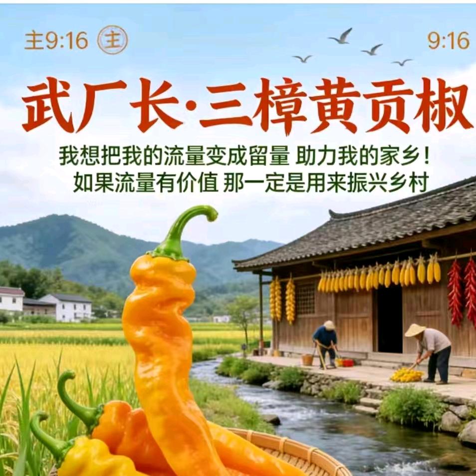 90后农村创业（武厂长）