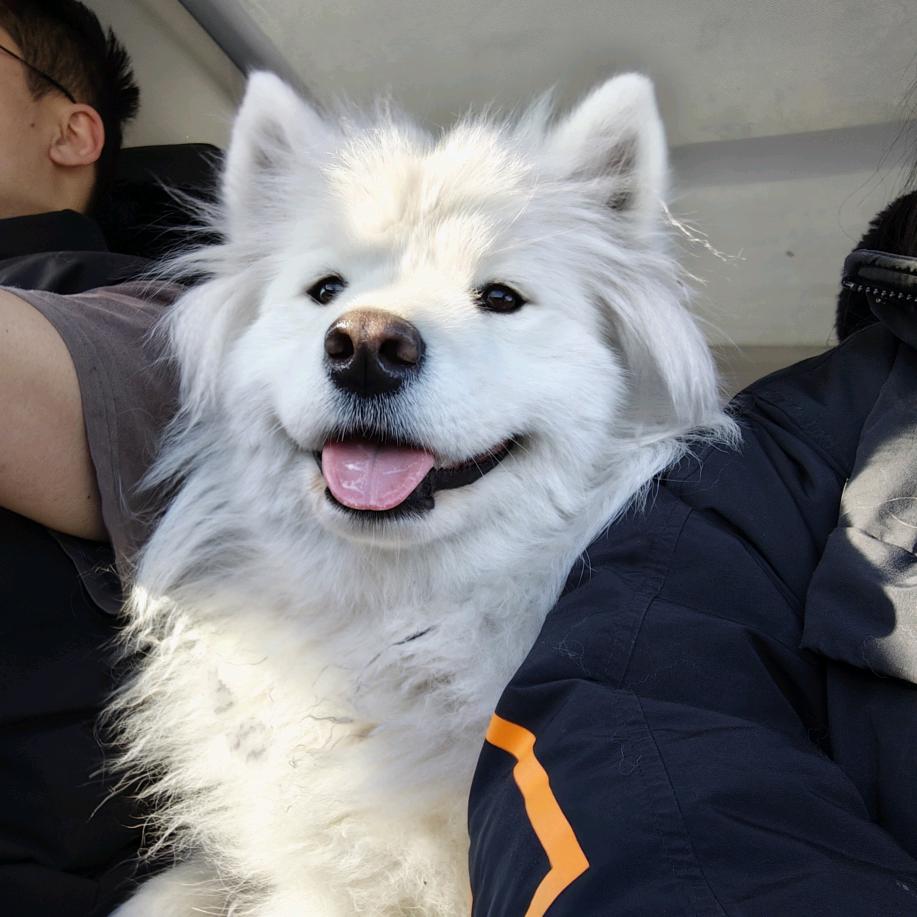 魏小厨自助盒饭