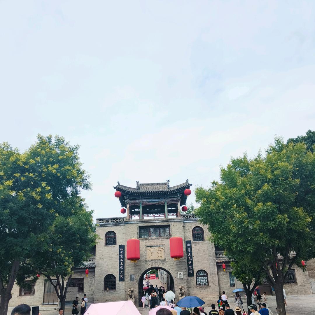 荭🌴🌴🌴