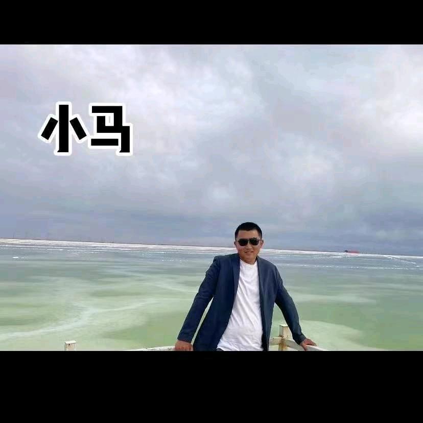 青海小马