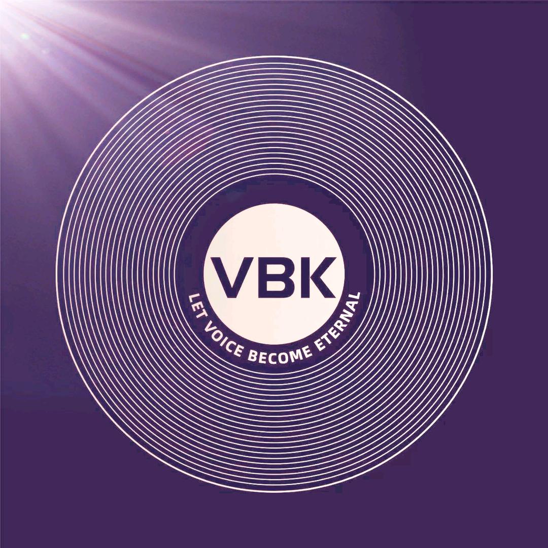 VBK维贝卡厂家