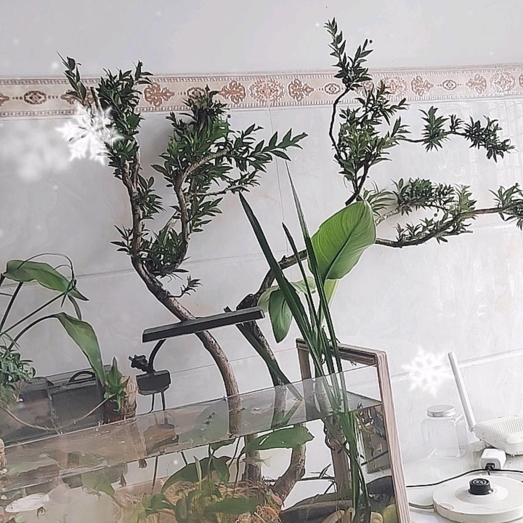 精准（五注）拿下