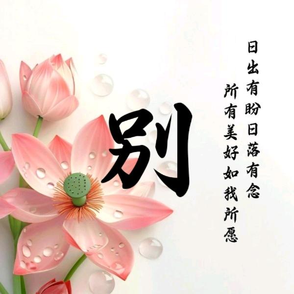 芳娟芸财