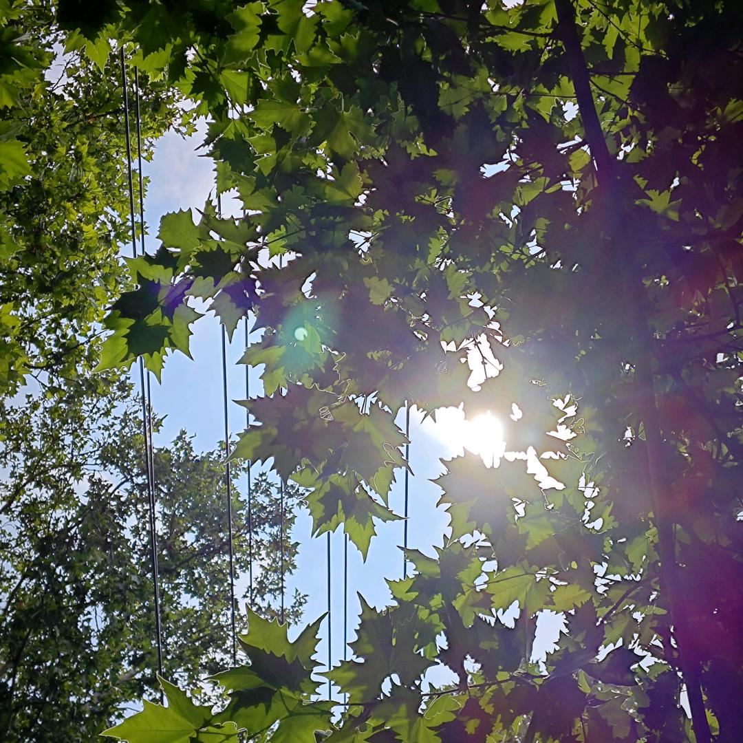 老王🎱 （高端复刻—源头工厂）