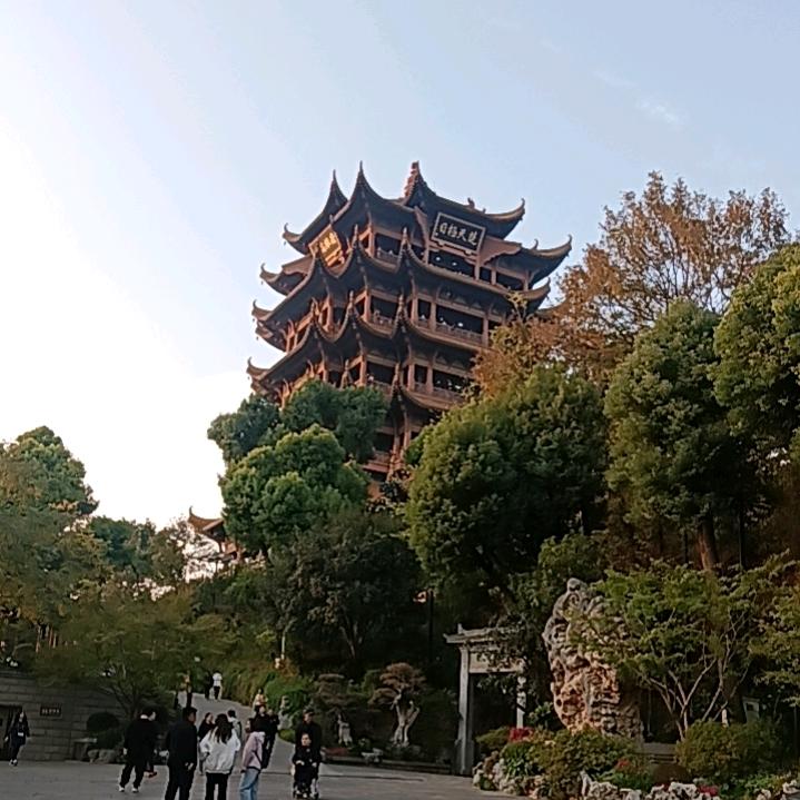 贩卖月光