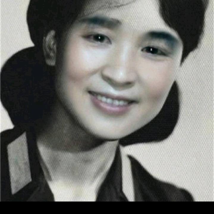 康光菊