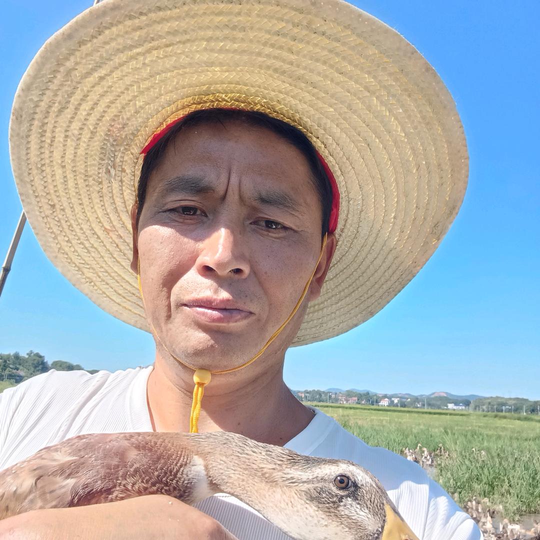 农村生活文哥