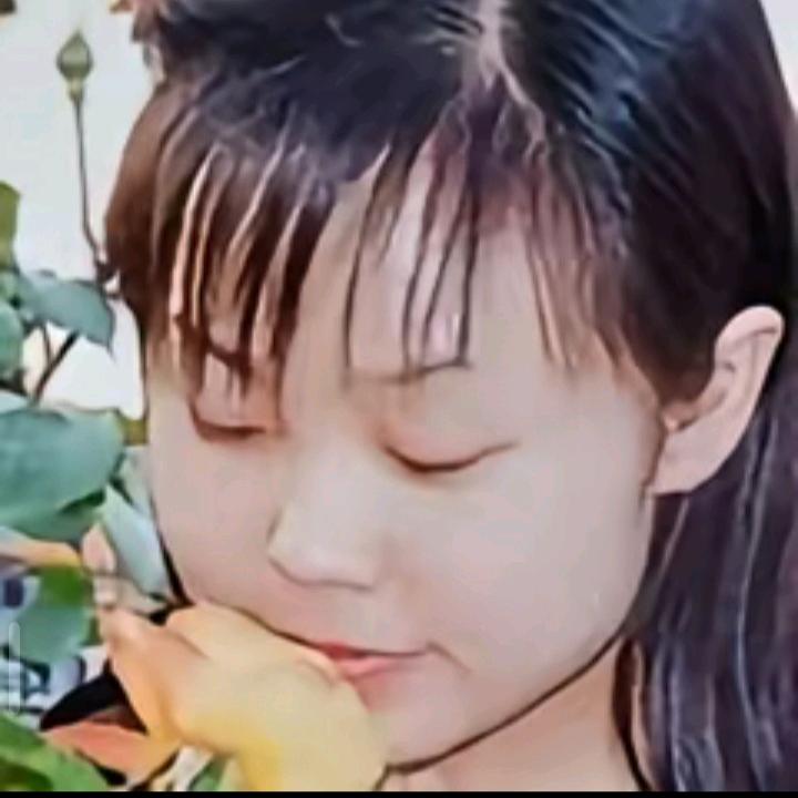 小妲己