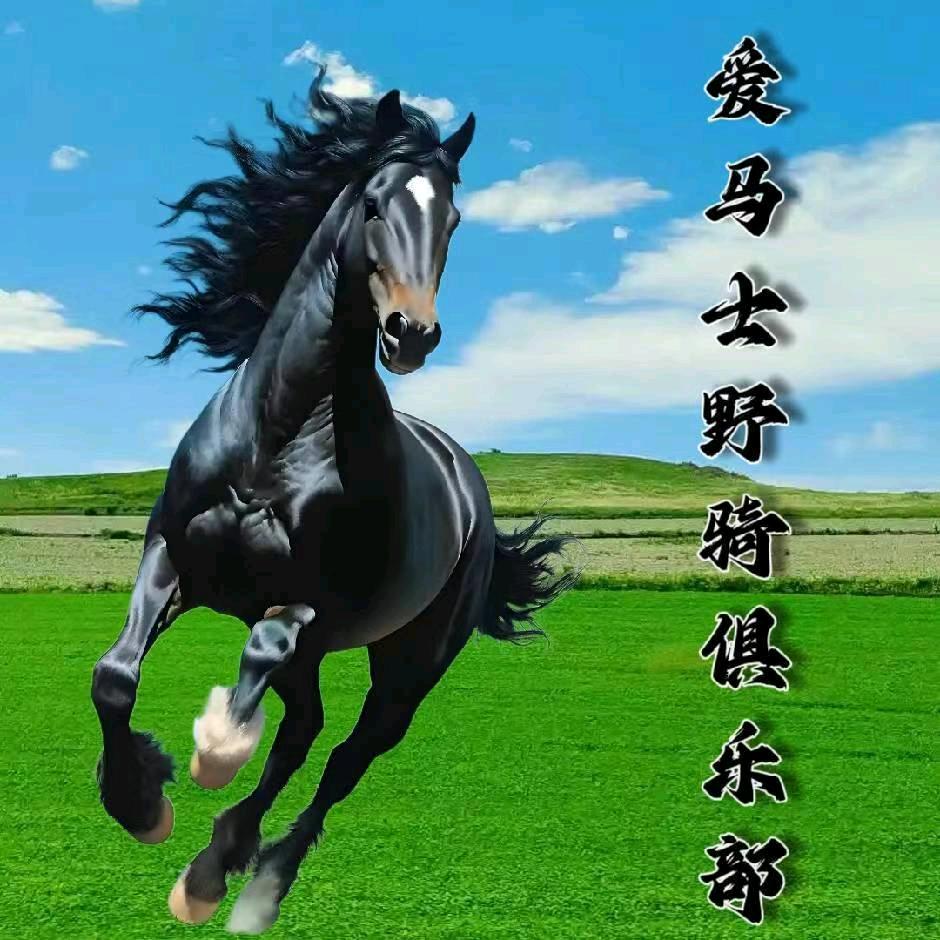 爱马士野骑俱乐部官方号