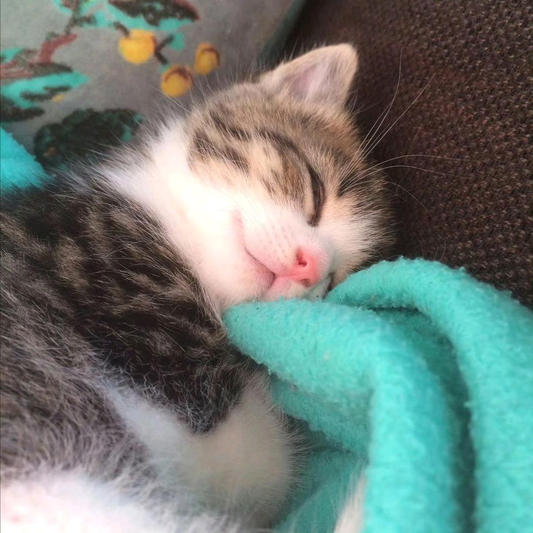iiuuuu