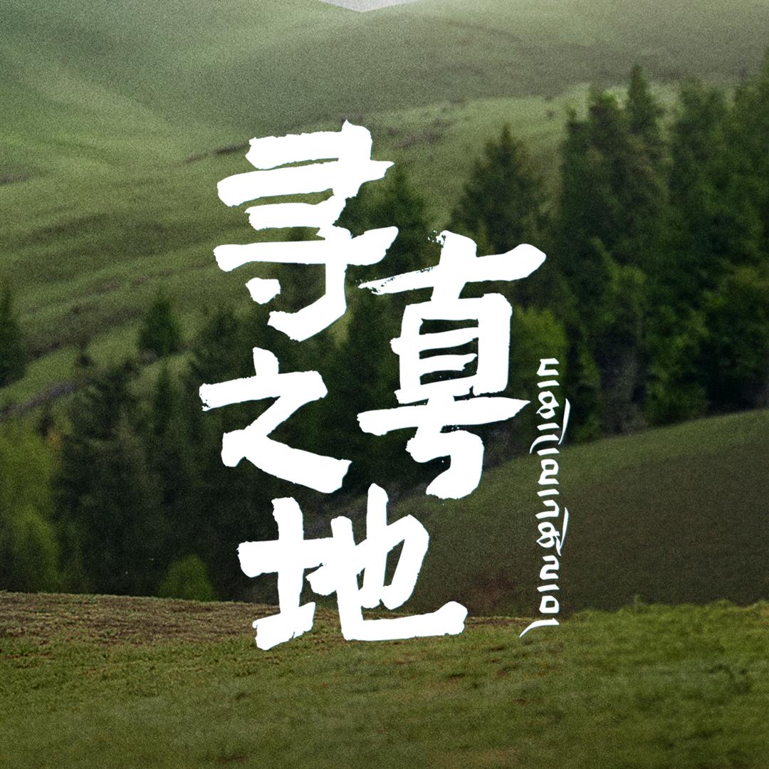 寻真之地