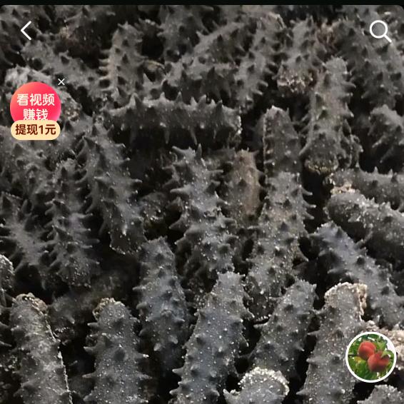 大南老林中药材（各种养生保健茶）