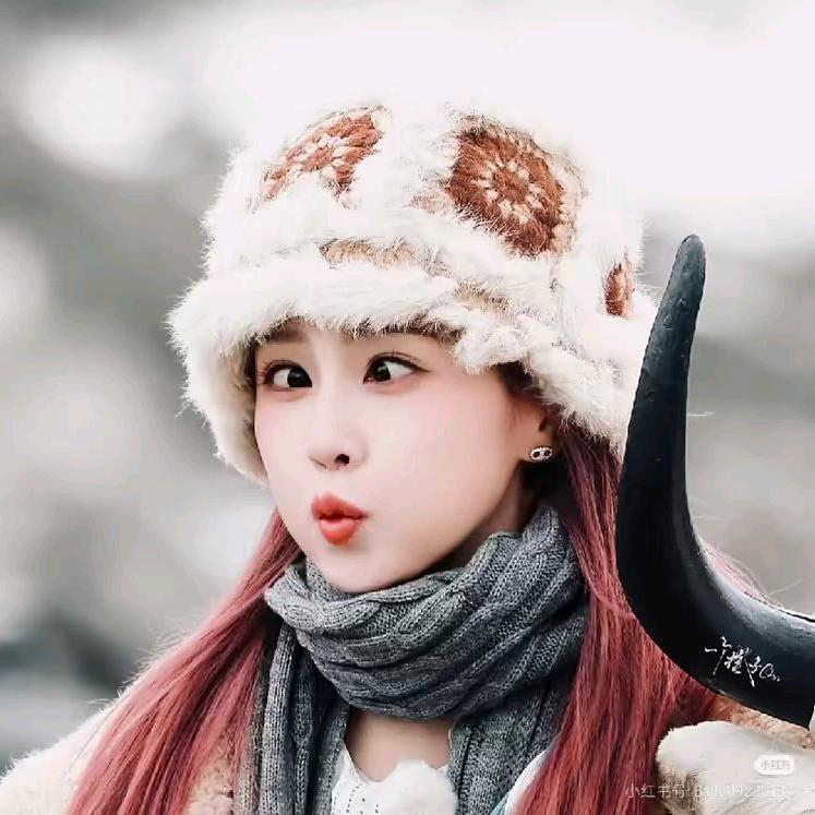 试管（备孕中）