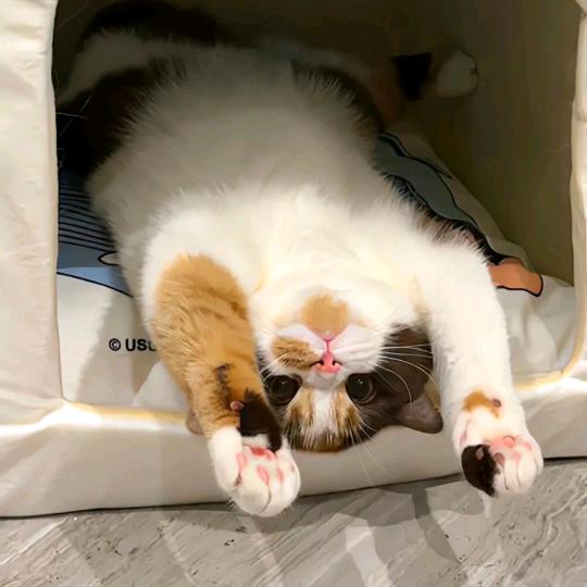 嘻嘻嘻～