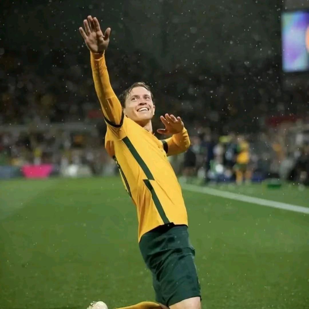 金🌹+🐮牛+三公主