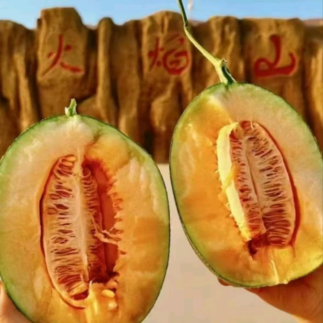 新疆哈密瓜那曼甄选