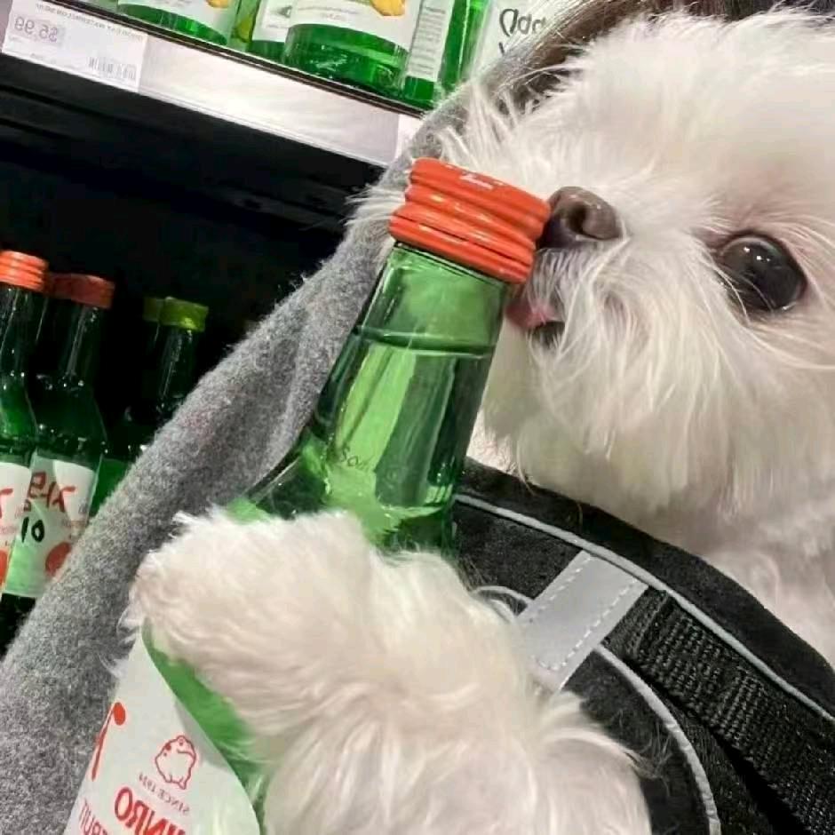 三巡 ⁹
