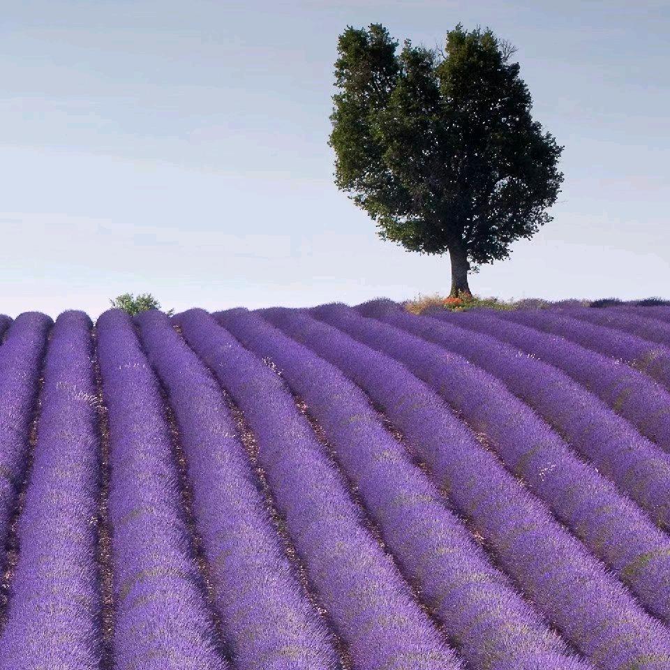余生勿扰