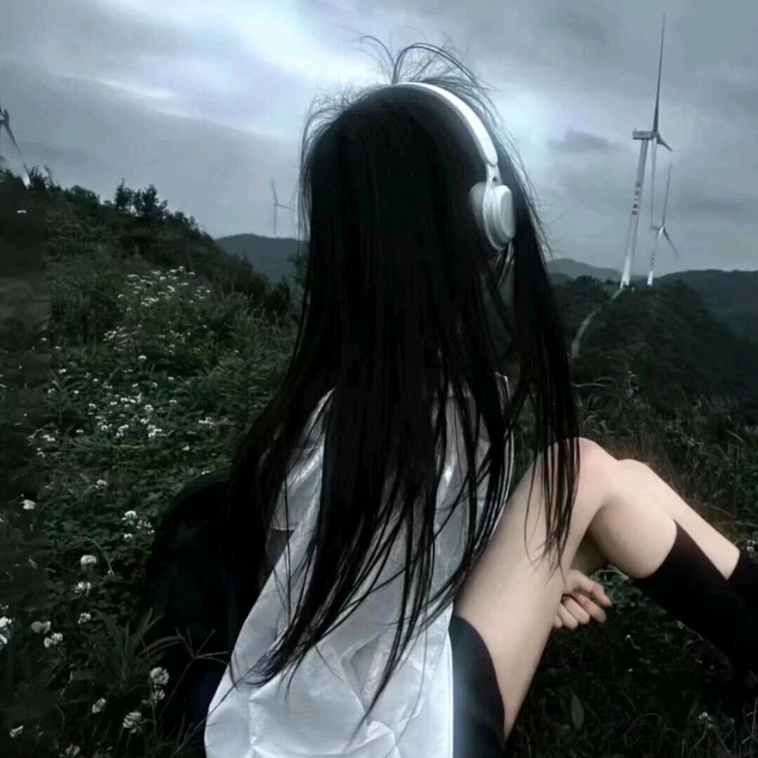 斑马还没有睡🔆