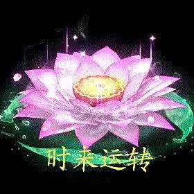 喻芯臻商贸百货