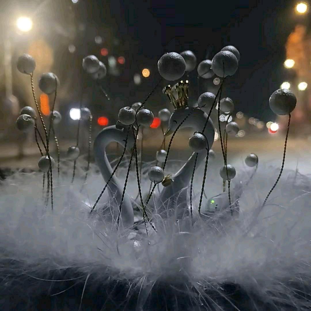 悠&悠